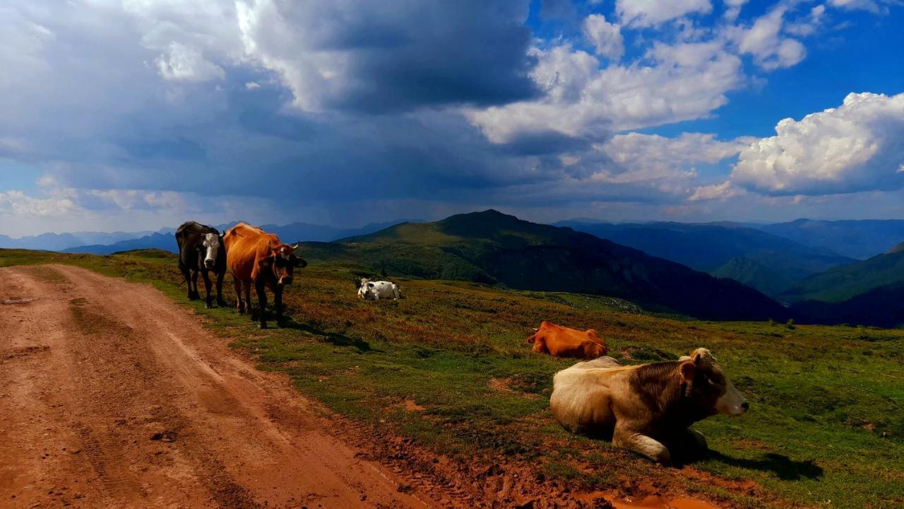 Etno Village Coric Mojkovac Luaran gambar