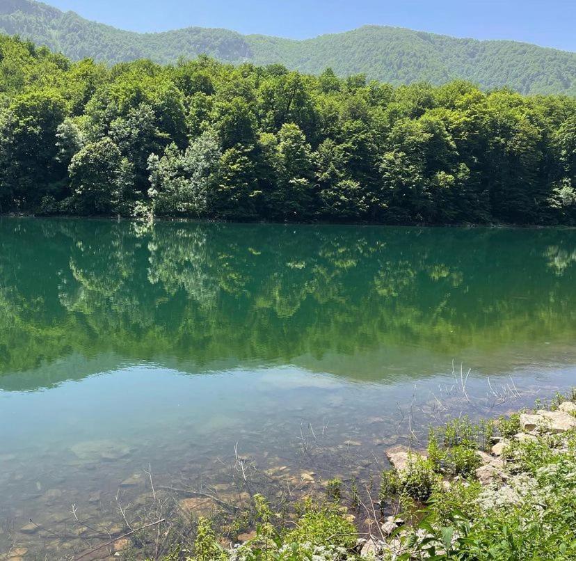 Etno Village Coric Mojkovac Luaran gambar