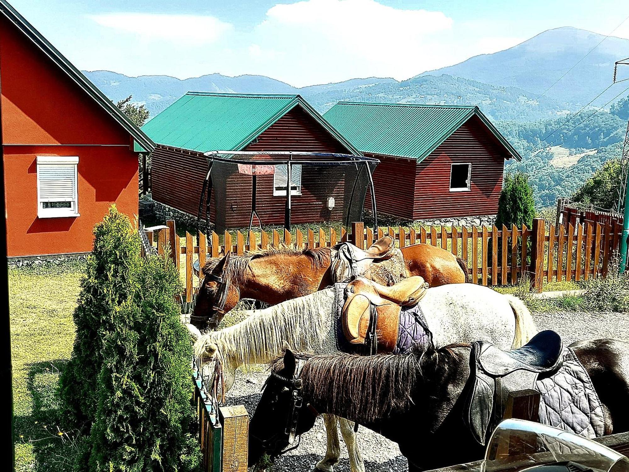 Etno Village Coric Mojkovac Luaran gambar