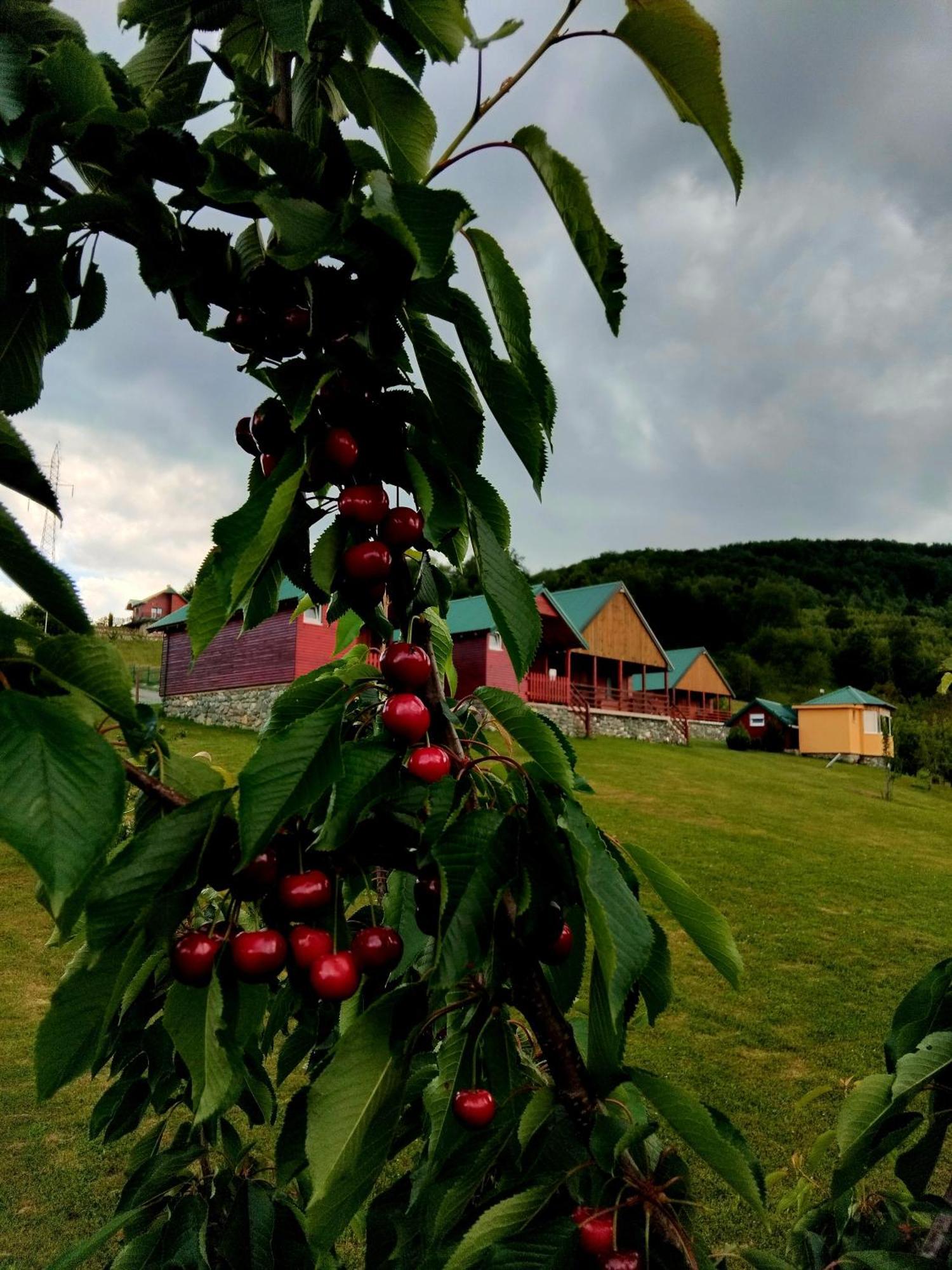 Etno Village Coric Mojkovac Luaran gambar